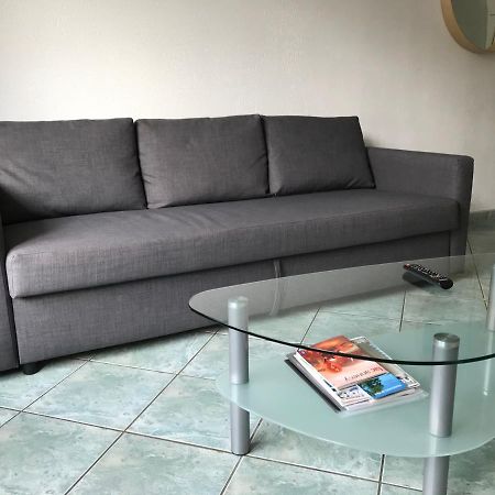 Apartamento Les Iles - Parking, Balcon, Netflix & Ps4! Annecy Exterior foto