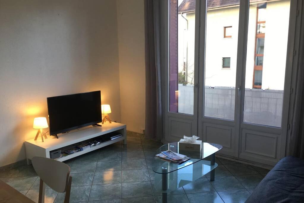 Apartamento Les Iles - Parking, Balcon, Netflix & Ps4! Annecy Exterior foto