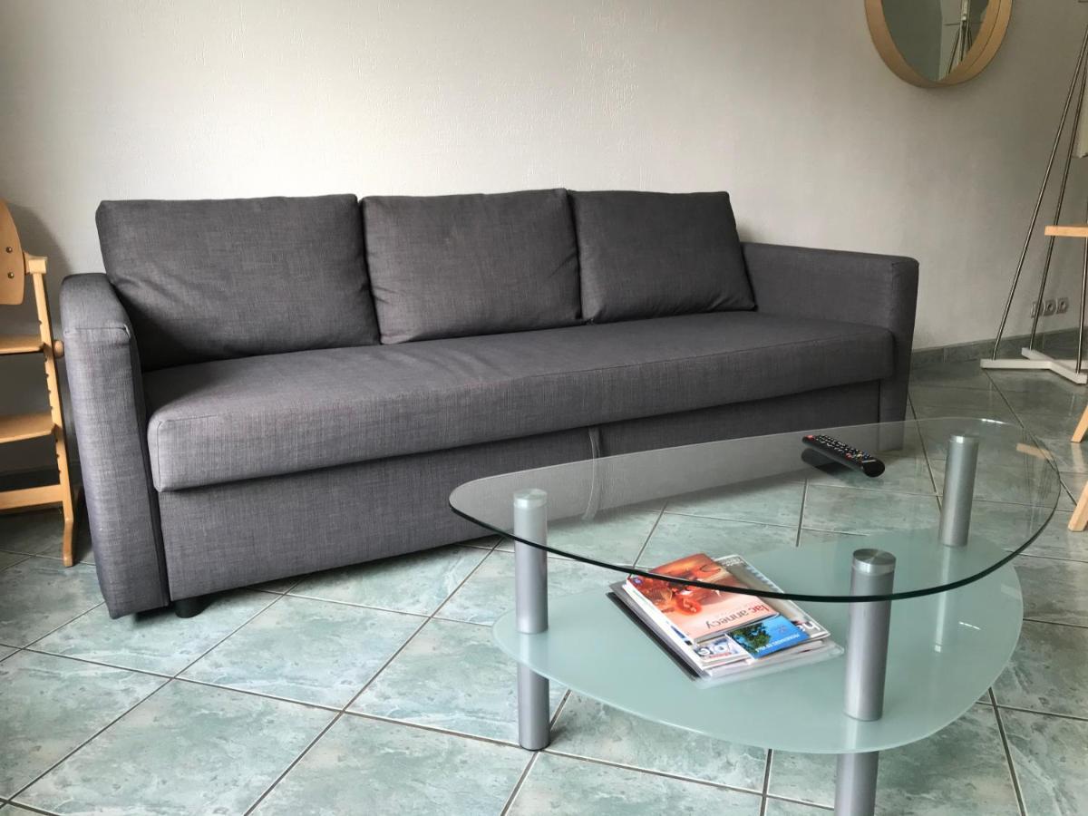 Apartamento Les Iles - Parking, Balcon, Netflix & Ps4! Annecy Exterior foto